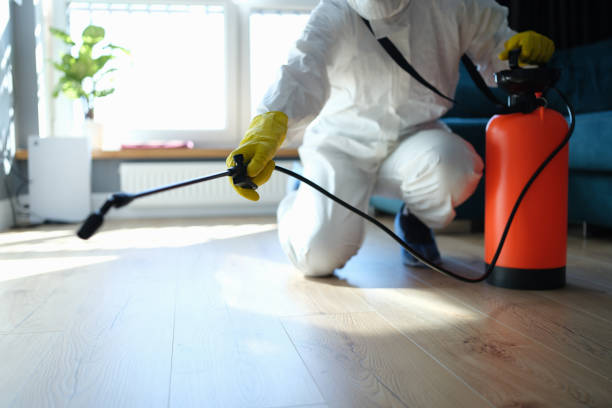 Reliable Odor Removal contractor in Willow Grove, TX by Trauma Clean Pros